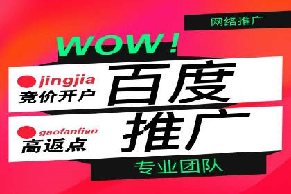 抖音信息流广告代理服务的市场现状与未来趋势